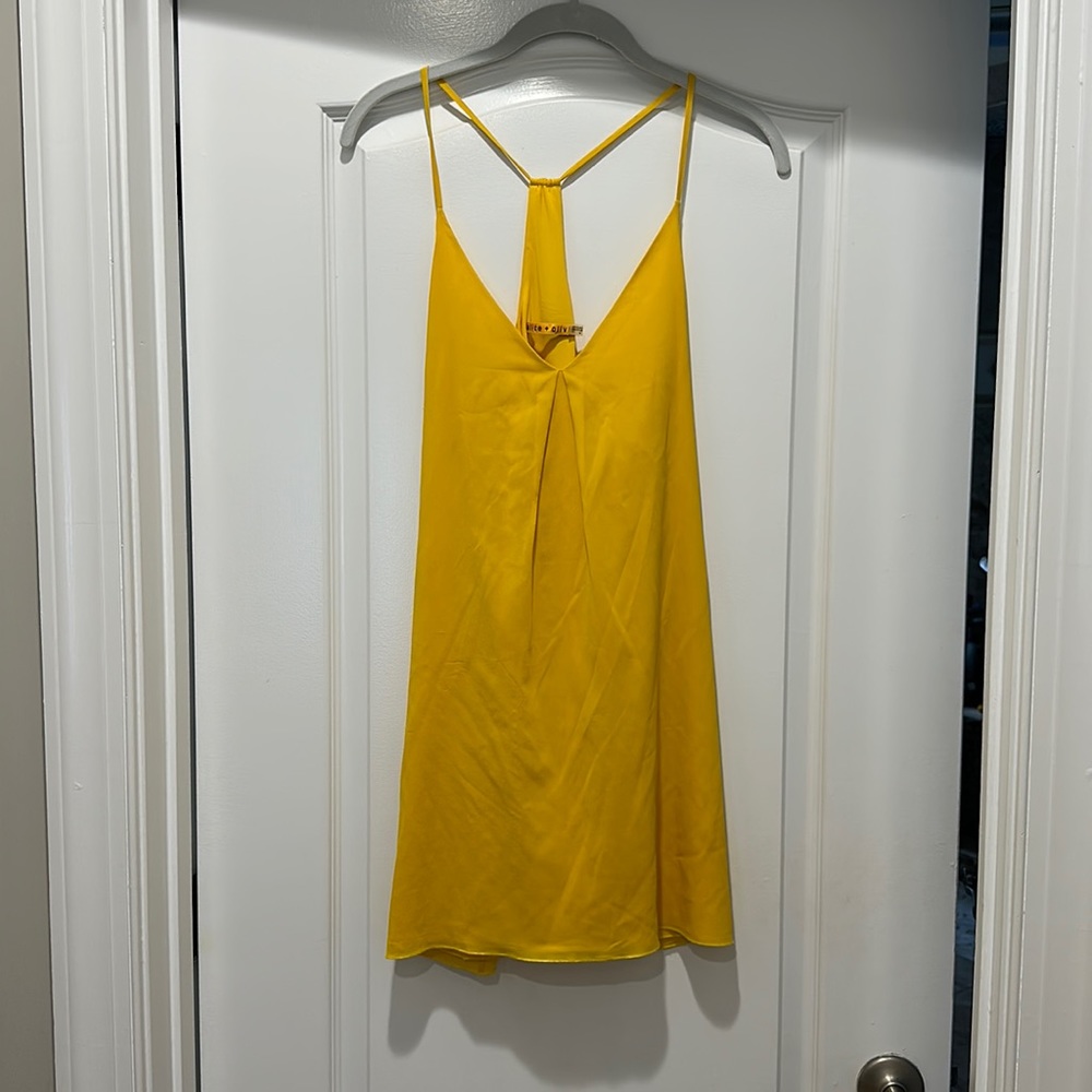 Alice and Olivia slip dress